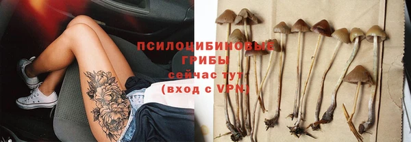 соль ск Гусев