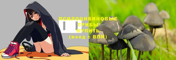 альфа пвп Гусь-Хрустальный